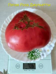 IMG_20250914_131519~2.jpg