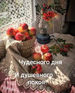 20da91c32dc1a4f52939597fa9fd4a1a.thumb.jpg.243ad1fcf4098842cc6edaa3185af032.jpg