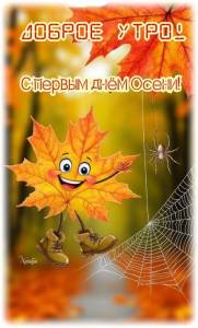 21552c3dd6f110aab53aae2d5c019524.jpg