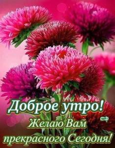 22952.thumb.jpg.d8f339ac3d1c5cce4892ea2e1e3670a1.jpg