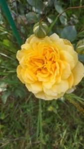 3704be00cf140c88f01d93164e85ea1b.jpg