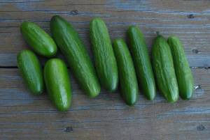 4.thumb.JPG.1b0859ffcbff1f0c39d7d53bd60e91e8.JPG