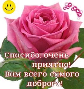 4a3293bdd12b2a50c37c6812cfcd2afe.jpg