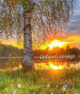 527ce3d28f9054a971549b9455a065d0.thumb.jpg.b088439686a419be8126a4320f98a19f.jpg