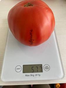 56C82A02-19E0-4BB3-AB26-D649B24A4AF2.jpeg
