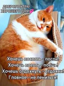 6d169bb7375924e9e1ac28836a5f71e9.thumb.jpg.c8fdf3cc344255de73d97988af2a316f.jpg