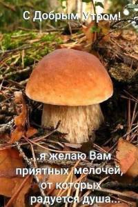 7a7c741976eda56a3a25558d71240fa1.jpg