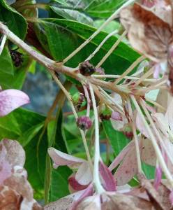 IMG_20250930_171553_989 (1).jpg
