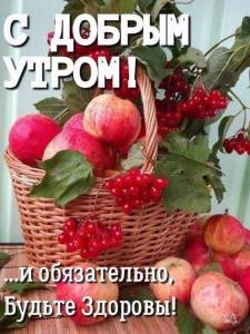82dd24994017adc7e180c2718a5c9ddc.thumb.jpg.fedecdfe86b225d5e9bf63f6a2c500ab.jpg