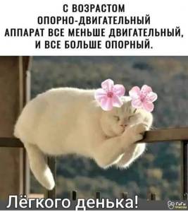 92e6af891707a4d964fc5d4b6925e287.jpg