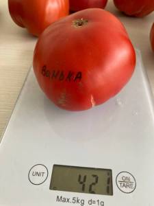 B83F95D6-6E05-4147-B806-6B628E06998C.jpeg
