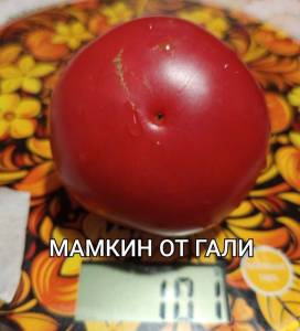 Compress_20250901_165713_3419.thumb.jpg.d387bb0a3ca6000e646c20a71c64711d.jpg