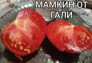 Compress_20250901_165713_3743.thumb.jpg.a93a6c83c810ed3b1dcd7fc1ebfa95a0.jpg
