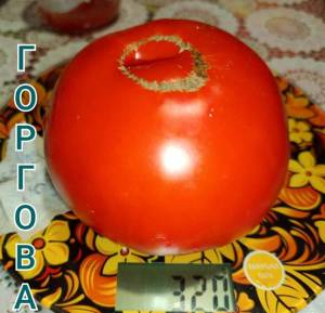Compress_20250901_165715_5630.thumb.jpg.d1ff84b1ad7bef91685f94f40b25b3a7.jpg