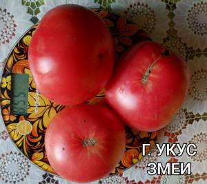 Compress_20250901_165727_7397.thumb.jpg.a45d086e0db3f1f442743731b0914c84.jpg