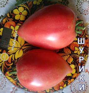 Compress_20250901_165727_7781.thumb.jpg.513de13bd8637d5be563b8de28b0fe64.jpg