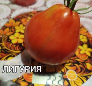 Compress_20250902_155720_0033.thumb.jpg.d664b37c9bd0c21d6f1da6feaa6186c1.jpg
