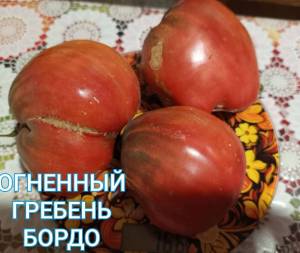 Compress_20250905_150457_7448.thumb.jpg.c69c093305cbfefdff539507226f87fc.jpg