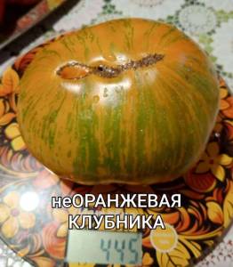 Compress_20250905_191418_8492.thumb.jpg.f2ddb357e6d06f86a10e37593c2337e7.jpg