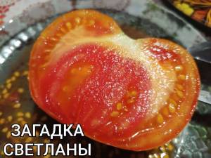 Compress_20250905_191419_9635.thumb.jpg.eadd2eb05957512b57dd96170f8bc05d.jpg