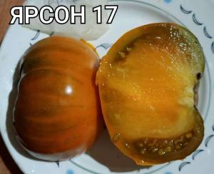 Compress_20250917_211013_3205.thumb.jpg.ba432e2ab7f38bd72172b15f1c22b8f4.jpg