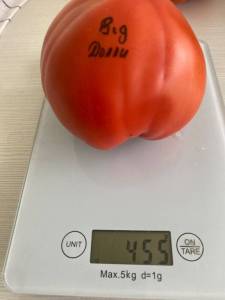 D44D5E54-19B6-4A52-982A-0010AB3CFF62.jpeg
