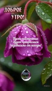 IMG-20250822-WA0001.jpg