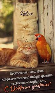 IMG-20250824-WA0002.jpg