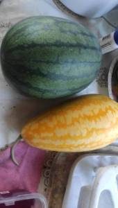 IMG-20250901-WA0011.jpeg