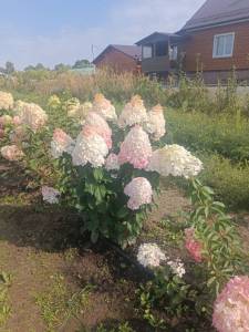 IMG-20250902-WA0024.jpg