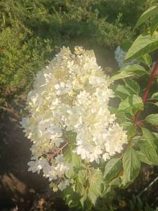 IMG-20250902-WA0027.jpg