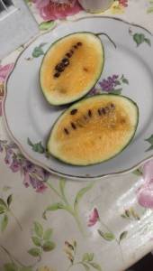 IMG-20250903-WA0011.jpeg