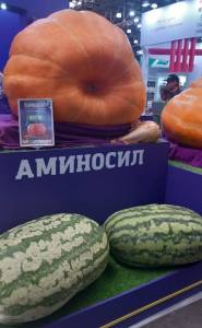 IMG-20250908-WA0021.jpg