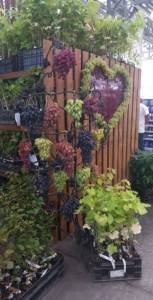 IMG-20250908-WA0048.jpg