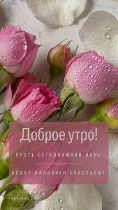IMG-20250911-WA0000.jpg
