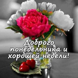 IMG-20250915-WA0011.jpg