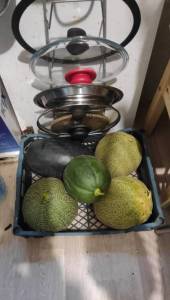 IMG-20250915-WA0021.jpeg