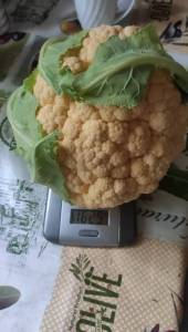 IMG-20250917-WA0000.jpeg