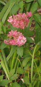 IMG-20250920-WA0015.jpg