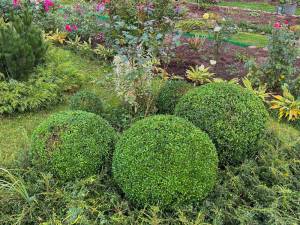 IMG-20250920-WA0042.thumb.jpg.0a62d1d27eb56f48220163aad8987357.jpg