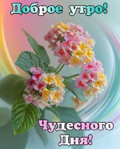 IMG-20250925-WA0005.jpg