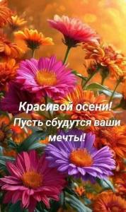 IMG-20250928-WA0003.jpg