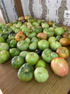 IMG_0563.jpeg