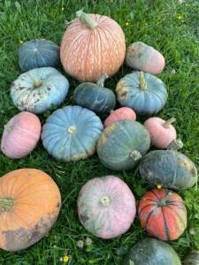 IMG_0621.jpeg