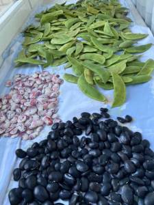 IMG_0624.jpeg