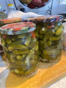 IMG_0686.jpeg