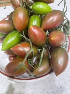 IMG_1705.jpeg