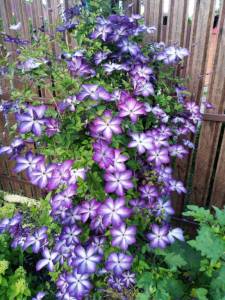 IMG_20220721_184527.jpg