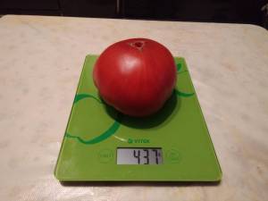 IMG_20221001_035743.thumb.jpg.a96e32440aa61366887e5f6344923058.jpg