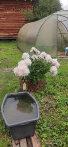 IMG_20250626_111020.jpg
